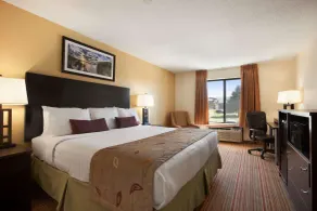 Ramada by Wyndham Wisconsin Dells I-90 - Chambre