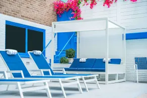 The Royal Sonesta Washington DC Dupont Circle - Piscine