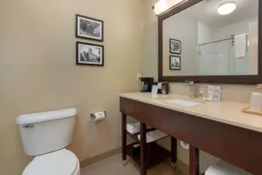 Comfort Inn & Suites Fayetteville-University Area - Salle de bain