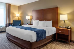Comfort Inn & Suites Blue Ridge - Chambre