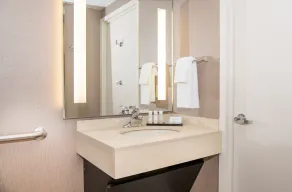 Embassy Suites by Hilton Chicago North Shore Deerfield - Chambre