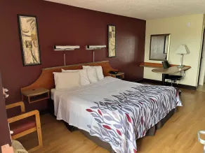 Red Roof Inn Virginia Beach-Norfolk Airport - Camera