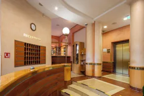 Wellness Hotel Jean De Carro - Réception