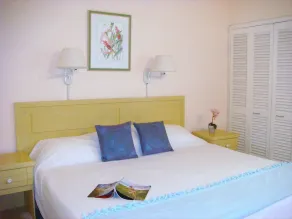 Plum Tree Club - Room