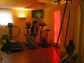 Hotel Adler - Salle de remise en forme