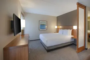 Hyatt Place Durham Southpoint - Chambre