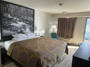 Super 8 by Wyndham Charleston WV - Chambre