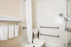 Holiday Inn Express & Suites Yosemite Park Area by IHG - Badeværelse
