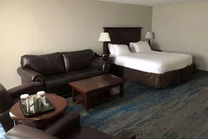 Ramada by Wyndham Cleveland Independence - Chambre