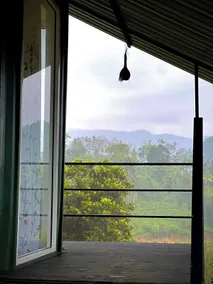The Secret Garden at Mist of Sinharaja - Habitación