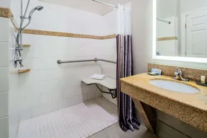 La Quinta by Wyndham Alamo-McAllen East - Salle de bain
