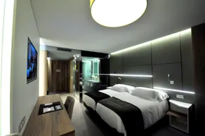 Hotel & Spa Ciudad de Binéfar - Room