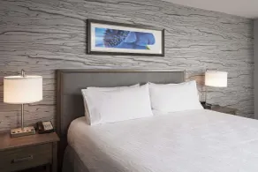Homewood Suites by Hilton Ottawa Downtown - Chambre