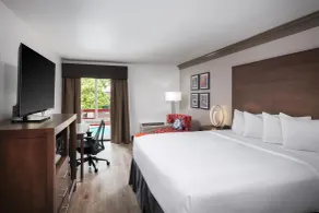 Aiden Austin City Hotel - Chambre