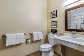 Comfort Suites San Antonio Airport North - Room