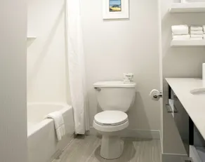 Hampton Inn Hartwell - Bathroom