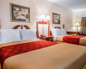 Econo Lodge Douglassville-Pottstown - Chambre