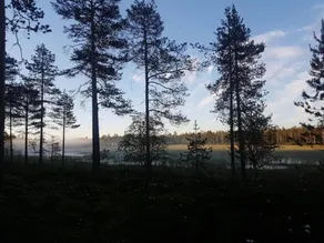Metsä Kolo - Ausblick vom Zimmer