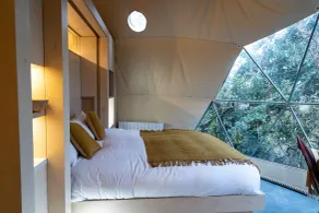Fernwood - Room