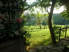 Agriturismo Biologico Poggiopiano - Udsigt fra værelset