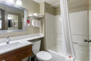 Econo Lodge Inn & Suites Dickson - Bad