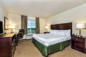 Cobblestone Inn & Suites - Vinton, IA - Værelse