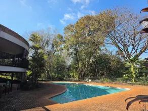 The woods at Eleven - Pool