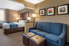 Comfort Inn & Suites Napoleon - Rom