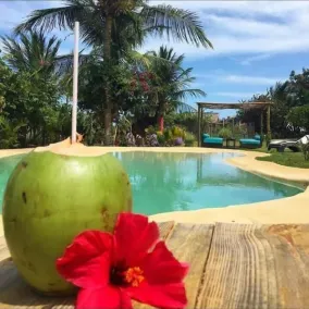 Pousada dos Ponteiros - Piscina