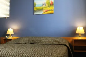 Armidale Inn - Room