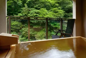 Premium Suites "Hanare Matsushimakaku" Produced by Shousuke no Yado Takinoyu - Spa