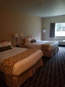 Baymont by Wyndham Noblesville - Chambre