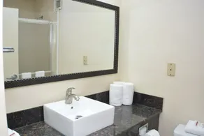 Red Roof Inn PLUS+ & Suites Chattanooga - Downtown - Salle de bain