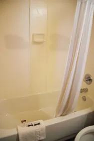 The Perrysburg Budget Inn - Salle de bain
