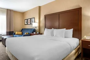 Comfort Inn Meadowlands - Chambre
