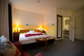 Hotel Bürkle - Room