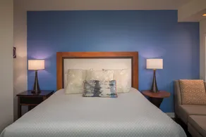 Hotel Indigo Asheville Downtown by IHG - Chambre