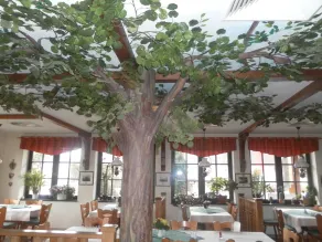 Müritz Landhotel Grüner Baum - Restaurant
