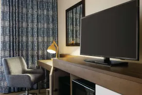 Hampton Inn & Suites Dallas-Mesquite - Chambre
