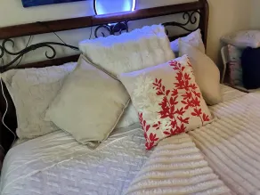 Cozy Tusmore Apartment With Private Garden City View Near Burnside Village Mall - Camera
