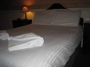 Murrayfield Park Guest House - Chambre