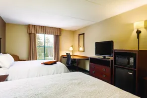 Hampton Inn & Suites Lake George - Chambre