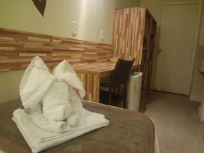 Novo Hamburgo Business Hotel - Chambre