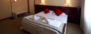 Trakya City Hotel - Chambre