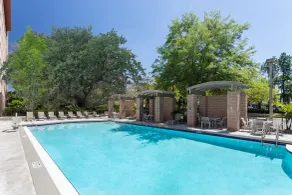 Embassy Suites by Hilton Tampa USF Near Busch Gardens - Pool