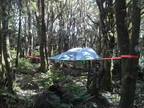 Pupu Rangi Nature Sanctuary - Conservation Area - Chambre