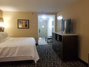 Holiday Inn Poughkeepsie by IHG - Rum