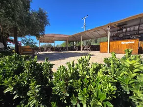 Olive Tree Apart Hotel - Reception