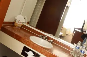 Hotel Mediterraneo Sa De Cv - Bad