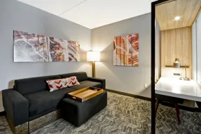 SpringHill Suites by Marriott Cincinnati Blue Ash - Chambre